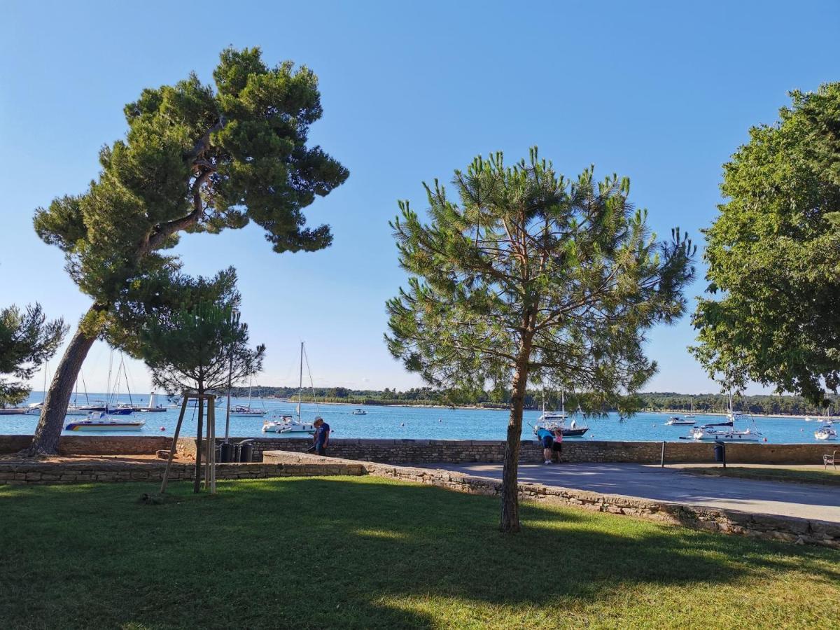 Ivan B&B, 5 Star Superior Room, Near The See And Park Novigrad  ภายนอก รูปภาพ