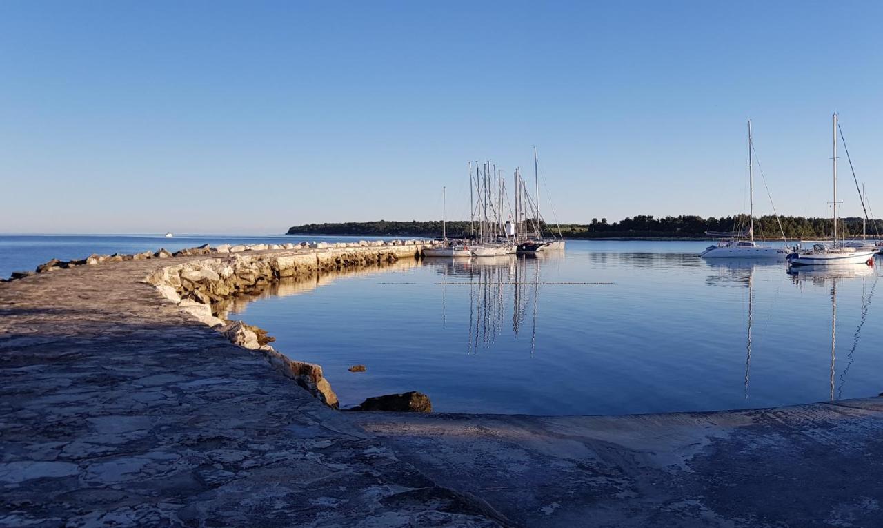 Ivan B&B, 5 Star Superior Room, Near The See And Park Novigrad  ภายนอก รูปภาพ